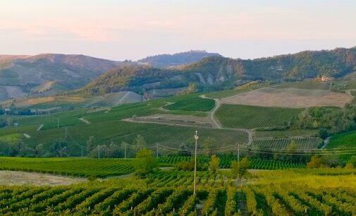 BORGORATTO 17/10/2024: Rinascono i sentieri di Borgoratto Mormorolo. Ecco i nuovi itinerari “Il Fiore”