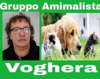 VOGHERA 10/10/2024: Il Gruppo Animalista propone l’ambulanza veterinaria