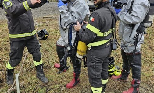 BRONI 11/02/2025: Agnellino caduto nella fognatura salvato dai Vigili del fuoco