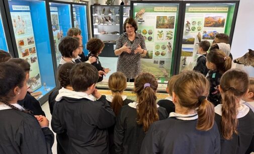 VOGHERA 21/03/2025: Gli alunni della Dante al Museo di Scienze