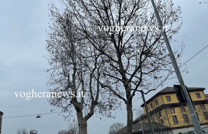 VOGHERA 12/03/2025: Semafori “Vista Red”. Regolare la sanzione. Il Giudice di Pace da’ ragione al Comune